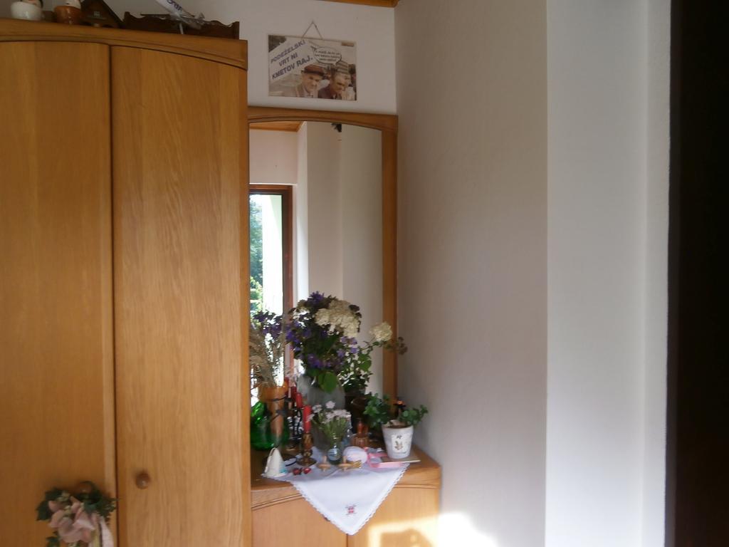Apartment Zvan Bohinj Room photo