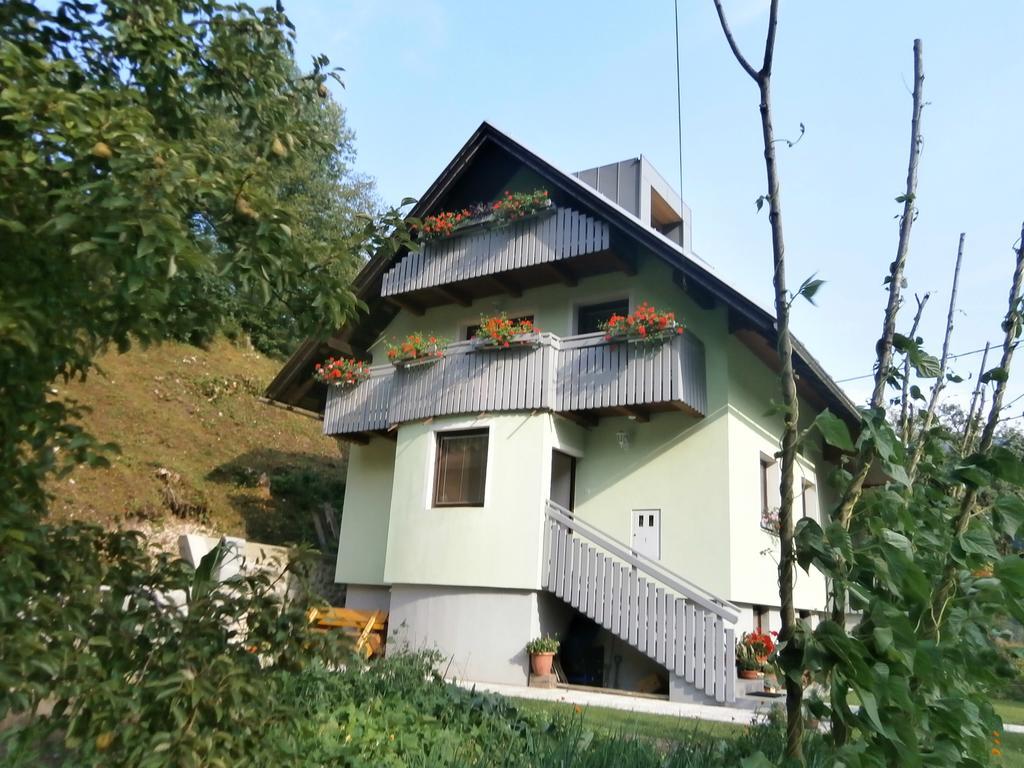 Apartment Zvan Bohinj Room photo