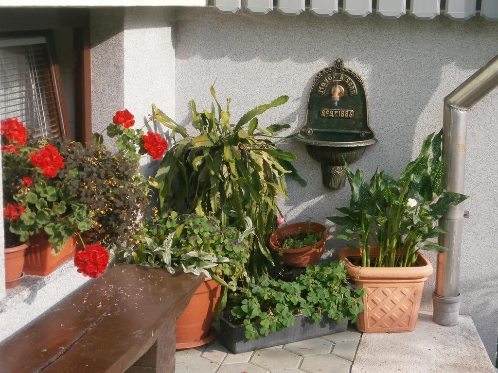 Apartment Zvan Bohinj Room photo